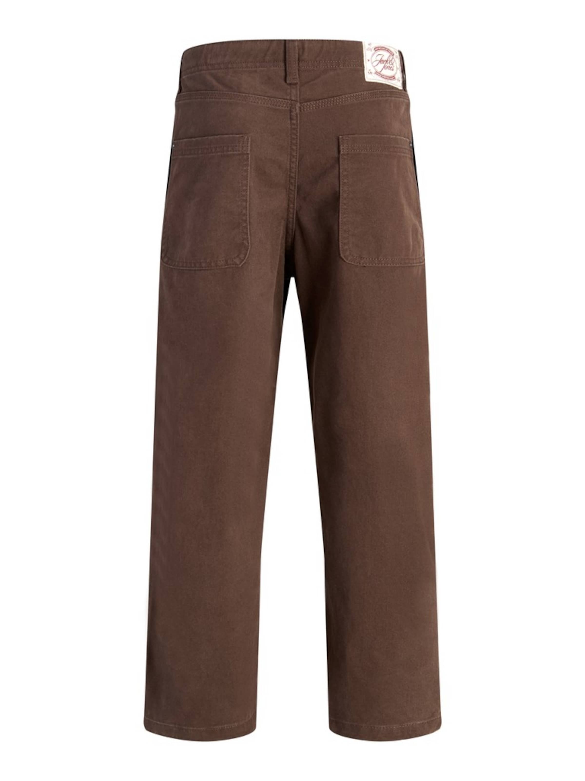 Jack & Jones Junior Baggy Pants 'JPSTALEX ANDREJ' in Brown