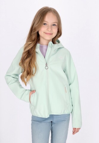 Schmuddelwedda Performance Jacket in Green: front