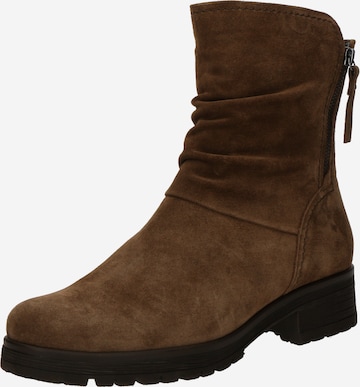 GABORČizmice - smeđa boja: prednji dio