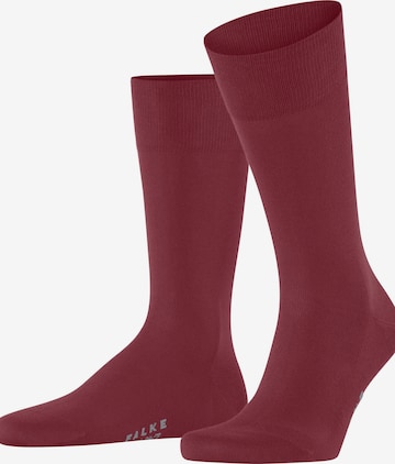FALKE Socks 'Cool 24/7' in Red: front