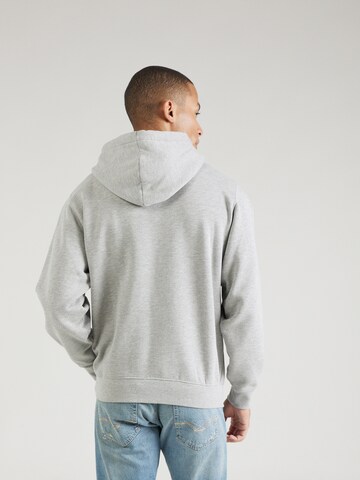 REPLAY Sweatshirt i grå