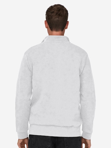 Only & Sons Sweatshirt 'Ceres' in Grijs
