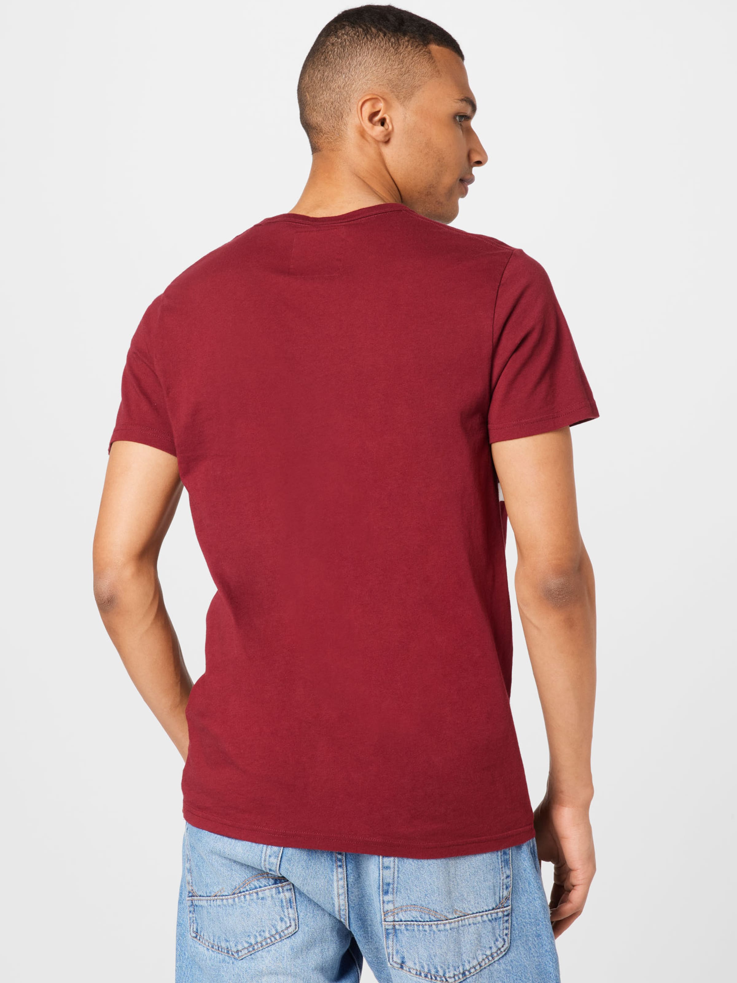 Männer Shirts HOLLISTER T-Shirt in Weinrot - AB61712