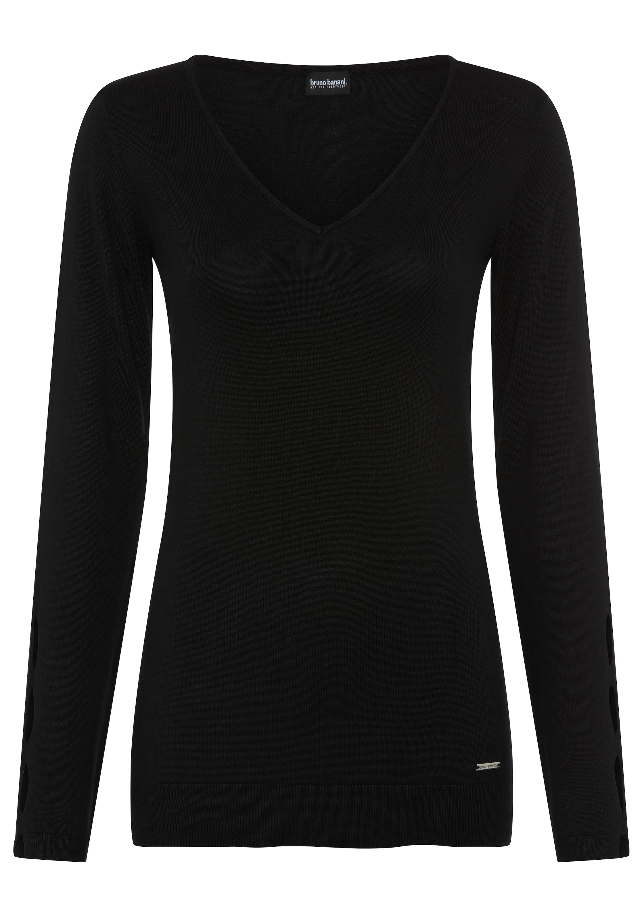 Bruno Banani LM Sweater in Black: front