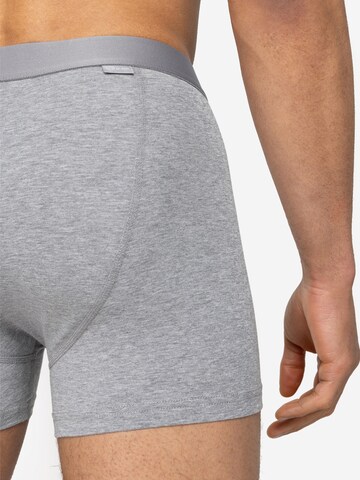 A-dam Boxershorts 'MELOMELA' in Grau