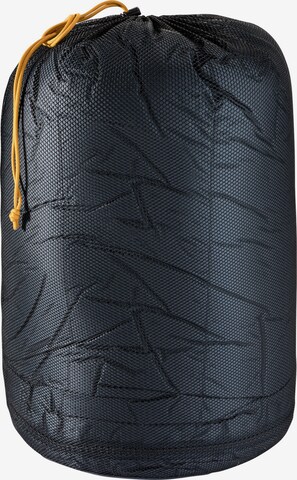 DEUTER Sleeping Bag 'Astro 500' in Blue