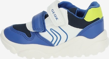 Baskets GEOX en bleu