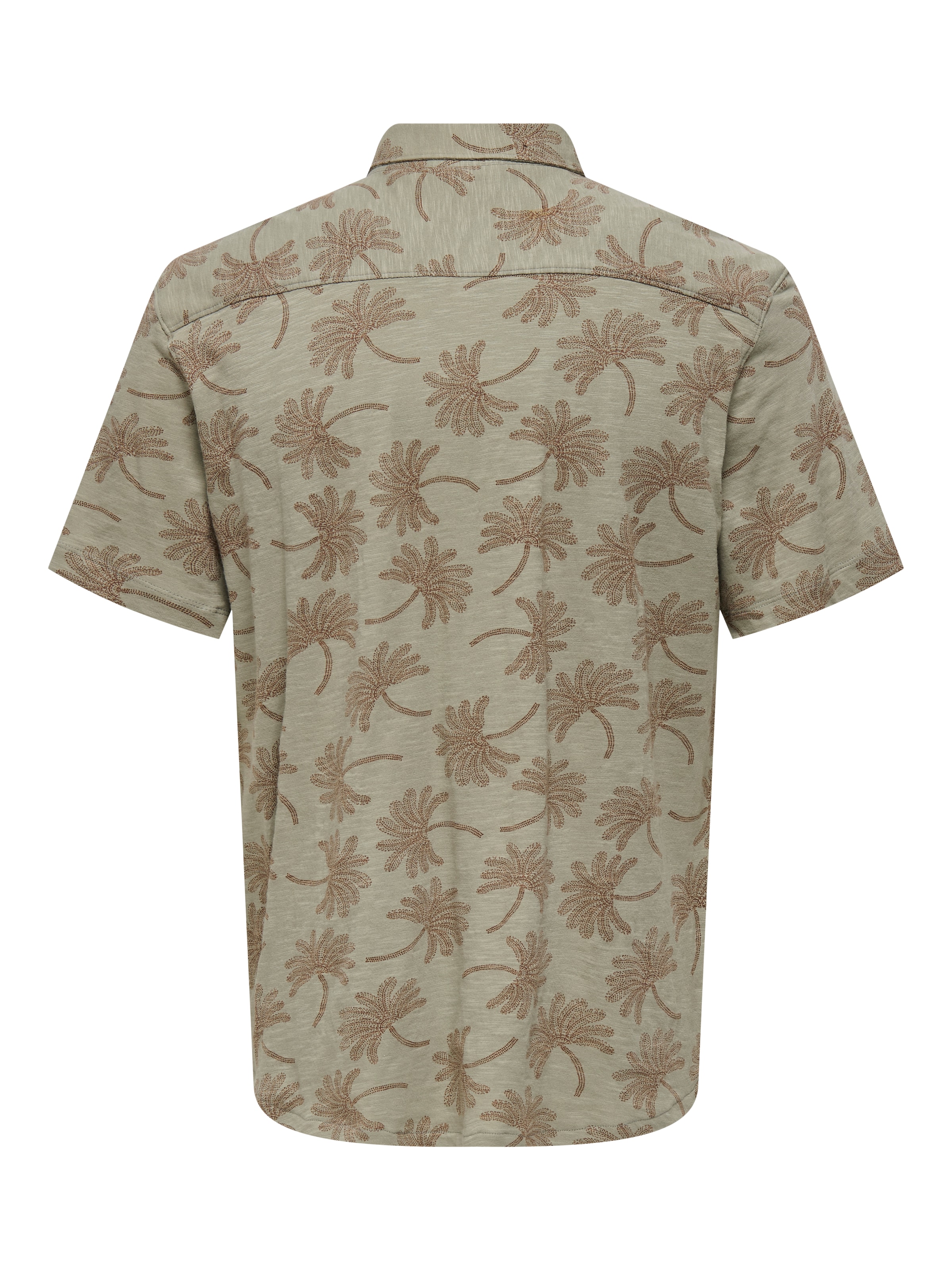 Only & Sons Regular fit Πουκάμισο 'ONSMALDINI' σε πράσινο