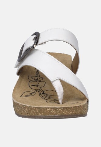 JOSEF SEIBEL Teenslipper 'TONGA 77' in Wit