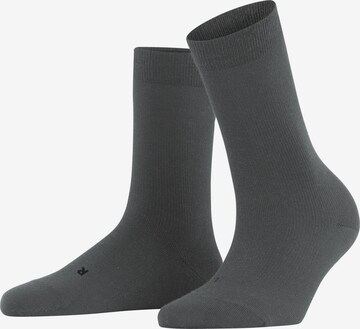 FALKE Socken 'Stabilizing Wool Everyday' in Silber: Vorderseite