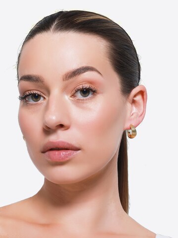 Boucles d'oreilles 'Solenne' Heideman en or
