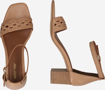 ABOUT YOU Sandals 'Luisa' in Beige