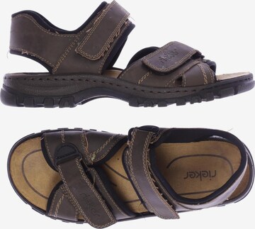 Rieker Sandals & Slippers in 43 in Brown: front