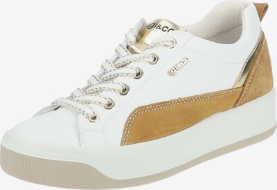 Sneaker bassa IGI&CO di colore marrone / oro / bianco, Visualizzazione prodotti
