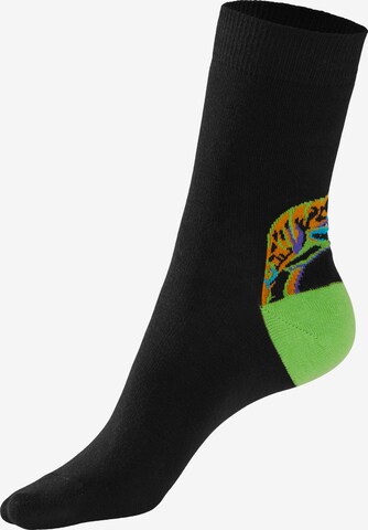 H.I.S Socken in Schwarz