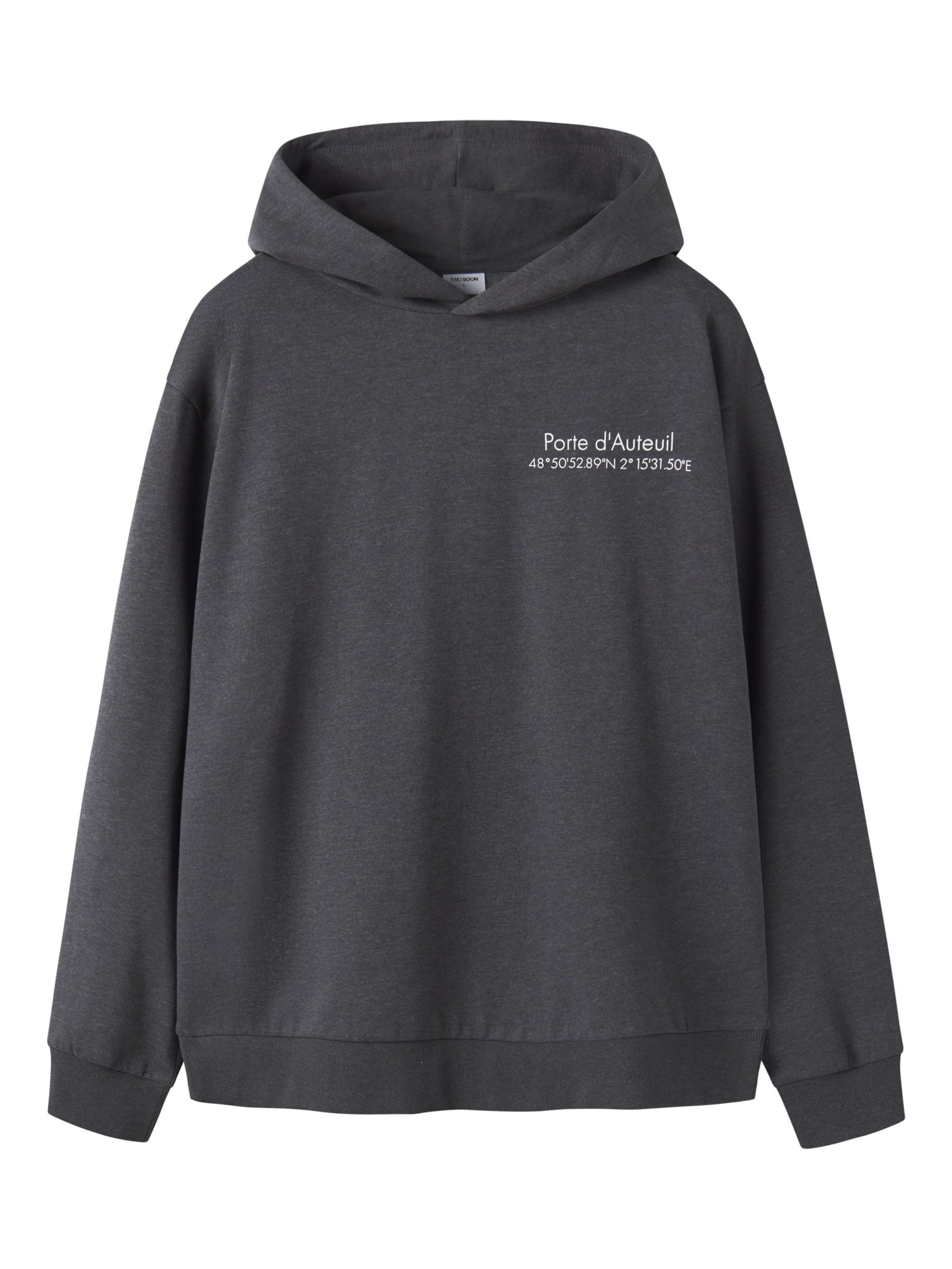 TWO SOON Sweatshirt i grå: forside