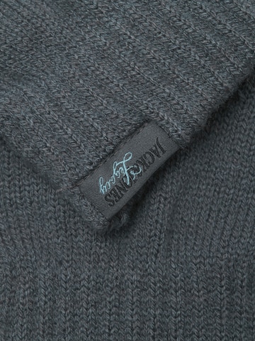 pilka JACK & JONES Pirštuotos pirštinės 'JACJADE'