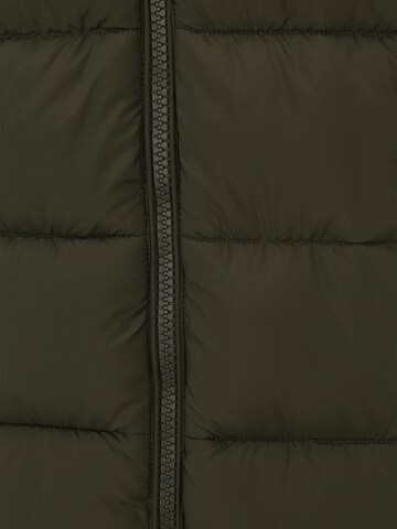 SAVE THE DUCK Winter Jacket 'Boris' in Green