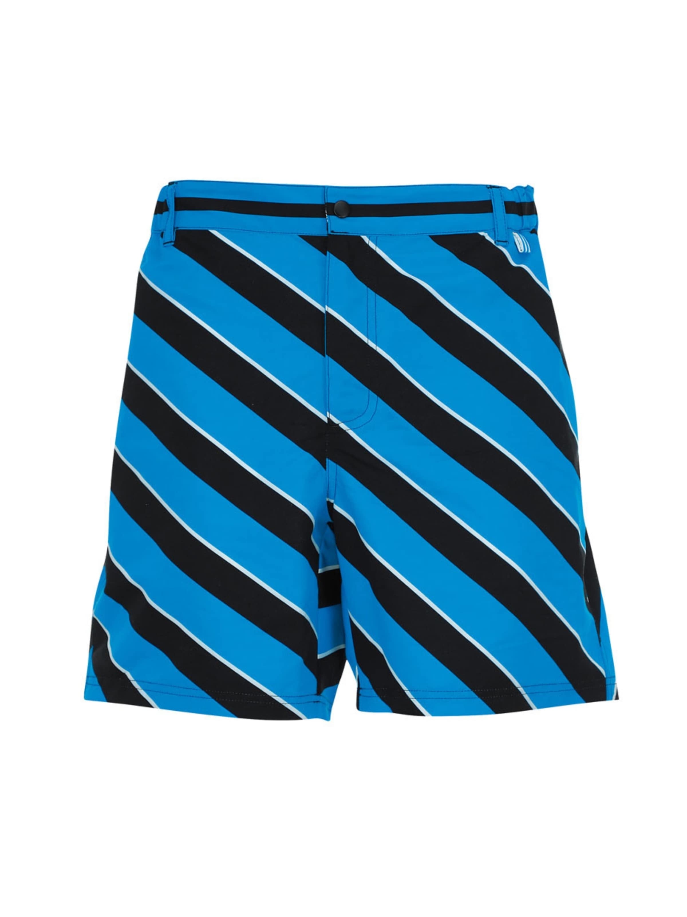 wavebreaker Swimming shorts in Blue: front