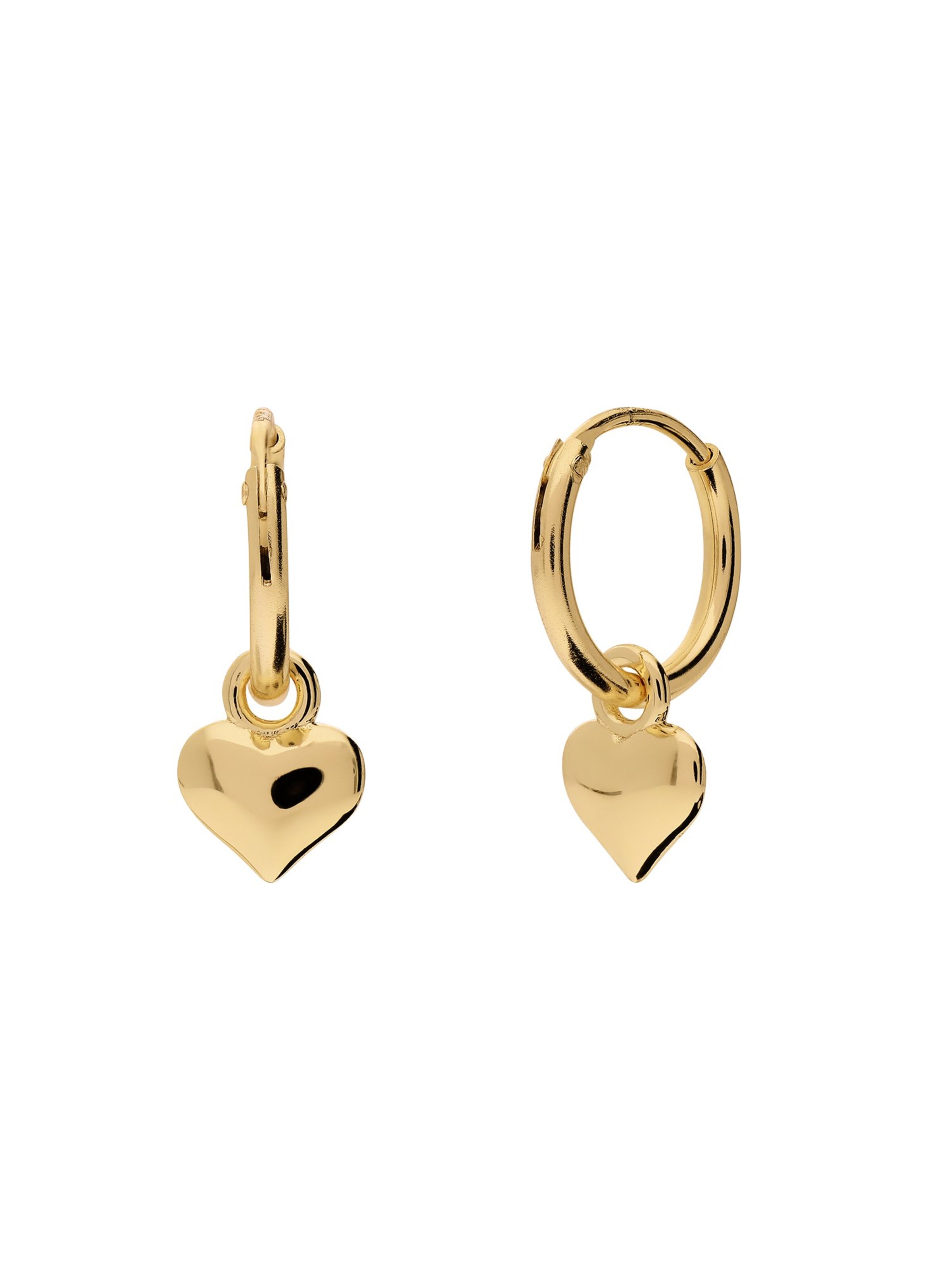 Lucardi Earrings in Gold: front