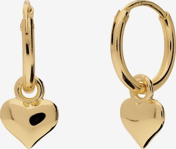 Lucardi Earrings in Gold: front