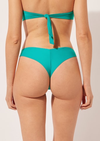 CALZEDONIA Bikini Bottoms 'INDONESIA' in Green