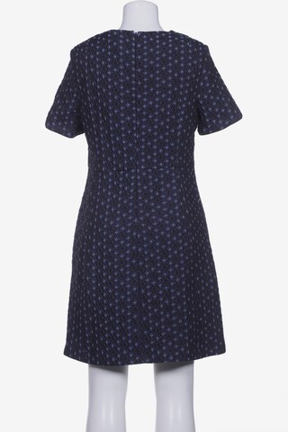 NEXT Kleid XL in Blau