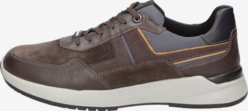 SIOUX Sneakers 'Lachlan' in Brown