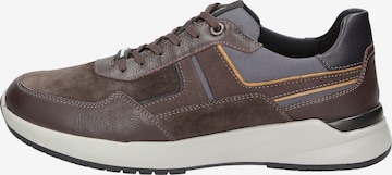 SIOUX Sneaker 'Lachlan' in Braun