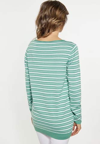 Pull-over usha BLUE LABEL en vert