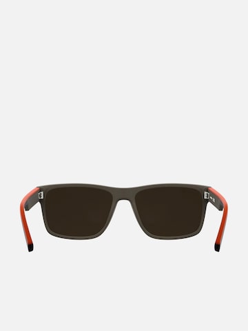 LACOSTE Sunglasses in Beige