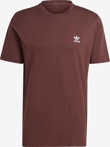 ADIDAS ORIGINALS T-Shirt 'Trefoil Essentials' in Braun: Vorderseite