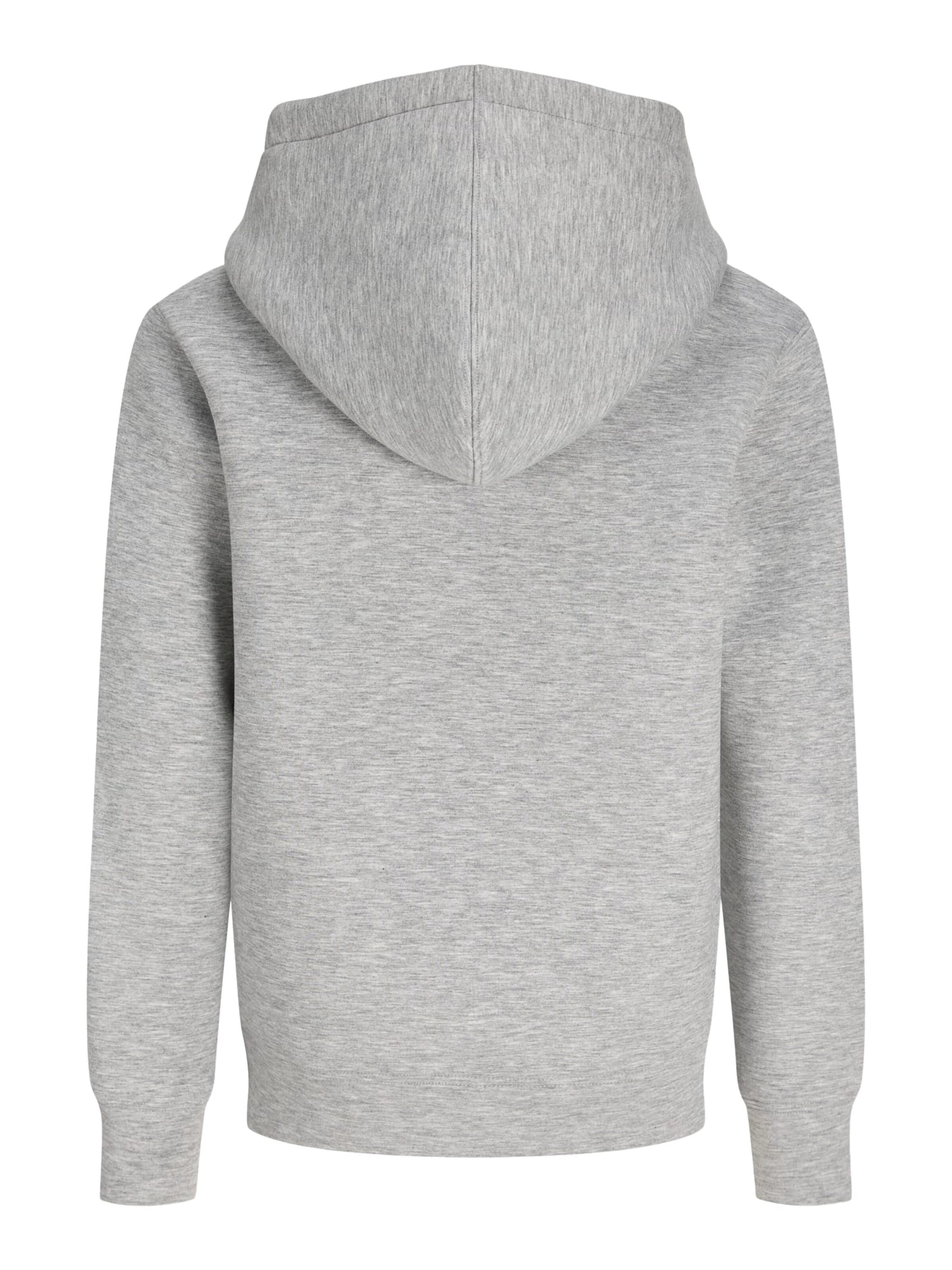 Jack & Jones Junior Zip-Up Hoodie 'Legacy' in Grey