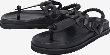 Crickit T-Bar Sandals in Black