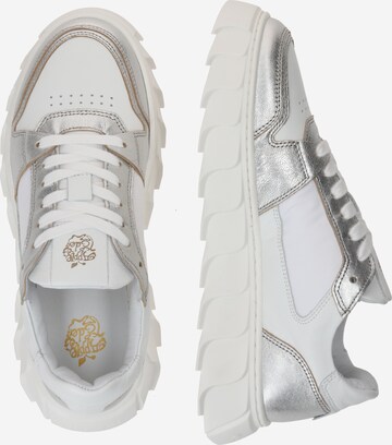 Apple of Eden Sneakers laag 'LONDON' in Wit