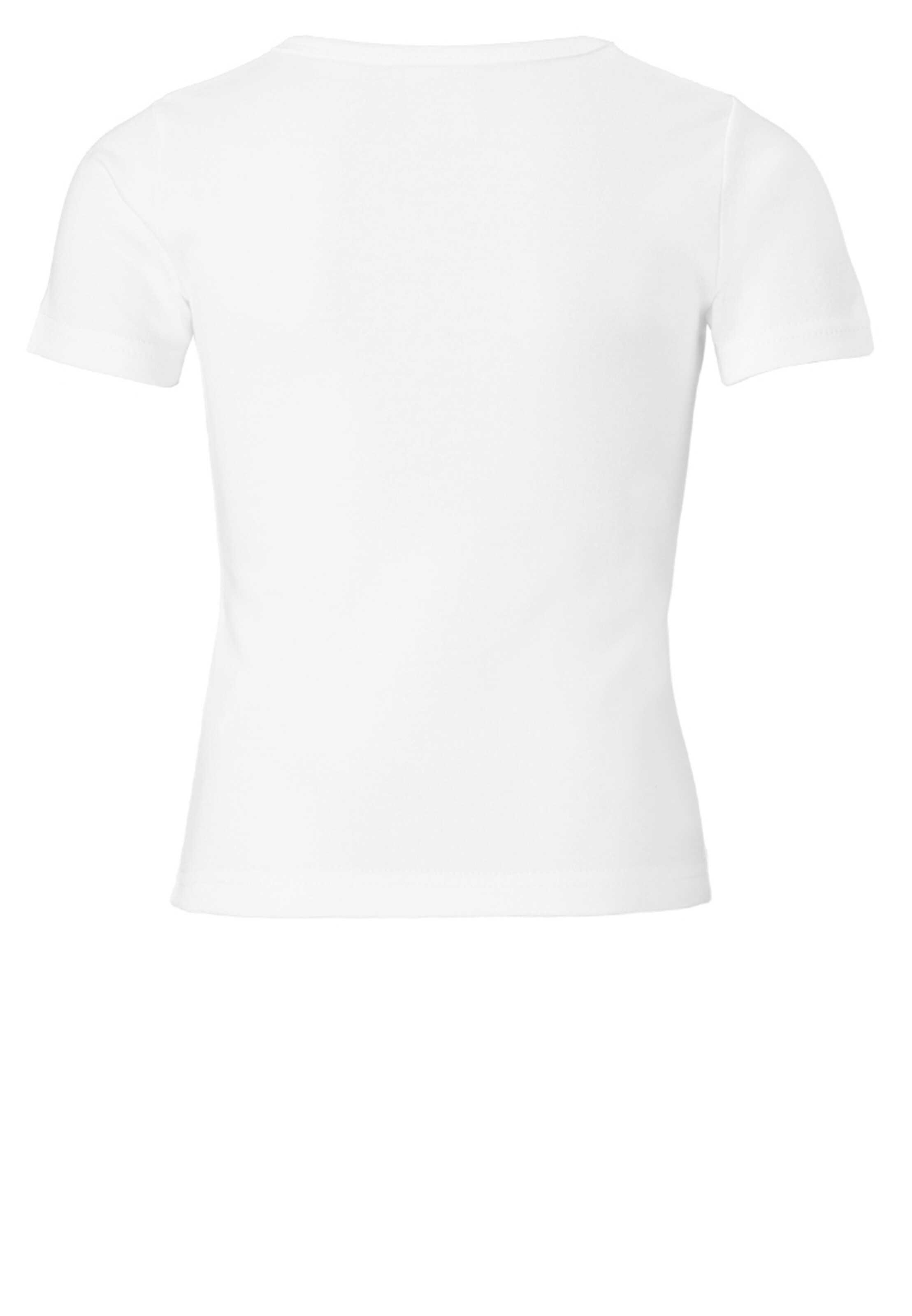 LOGOSHIRT Shirt 'Idefix - Faces - Asterix' in Grijs