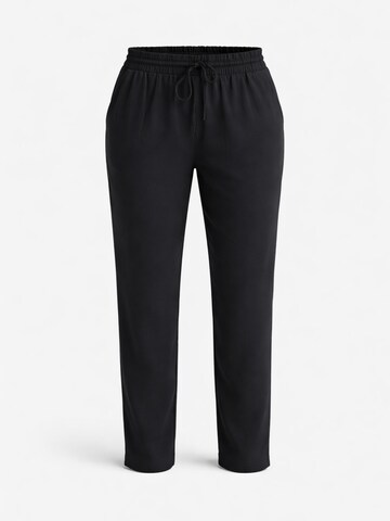 PANTONECLO Regular Trousers 'Pantoneclo Women's Trousers' in Black: front