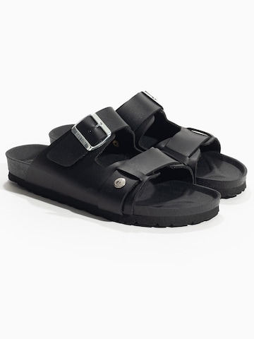 Bayton Mule 'Narnia' in Black