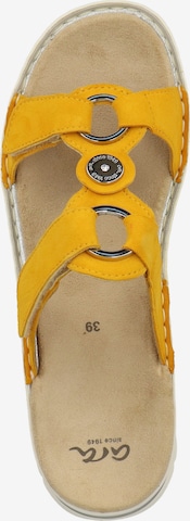 ARA Mules 'Tampa' in Yellow