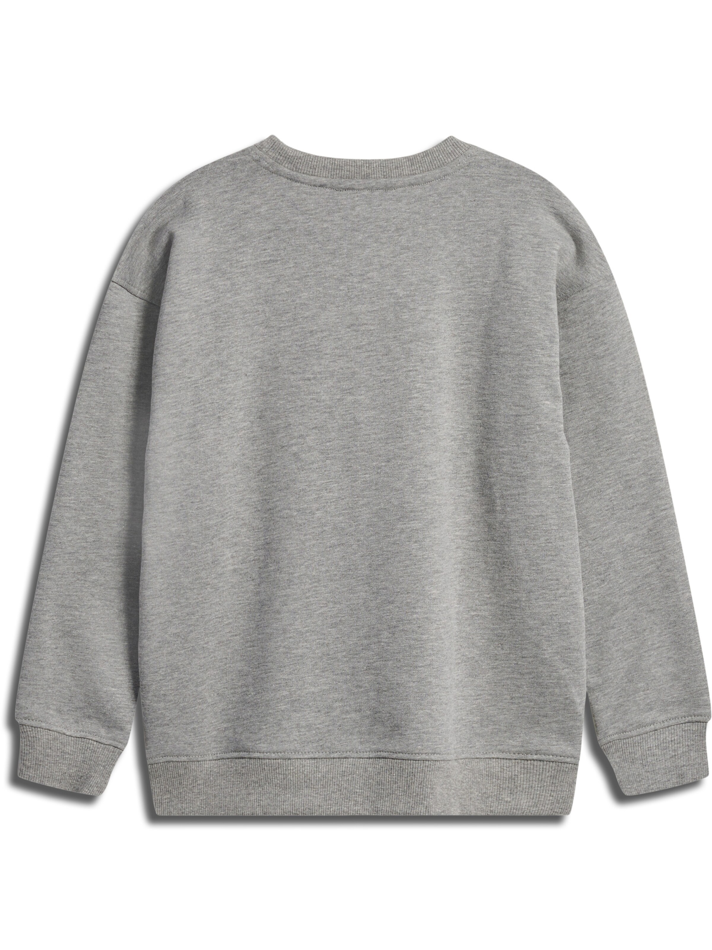 SOMETIME SOON Sweatshirt 'Winters' i grå