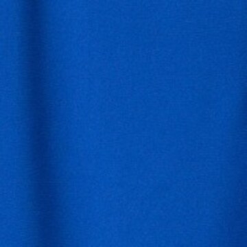 Whistles Dress in Blue: top