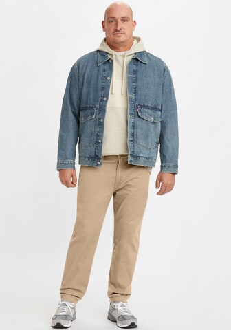 Levi's® Big & Tall Regular Hose in Beige: Vorderseite