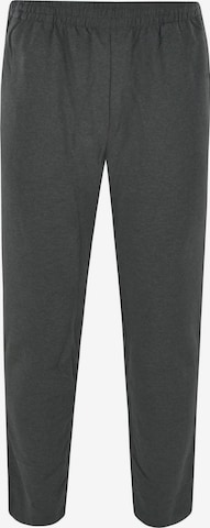 HAJO Broek in Grijs: voorkant