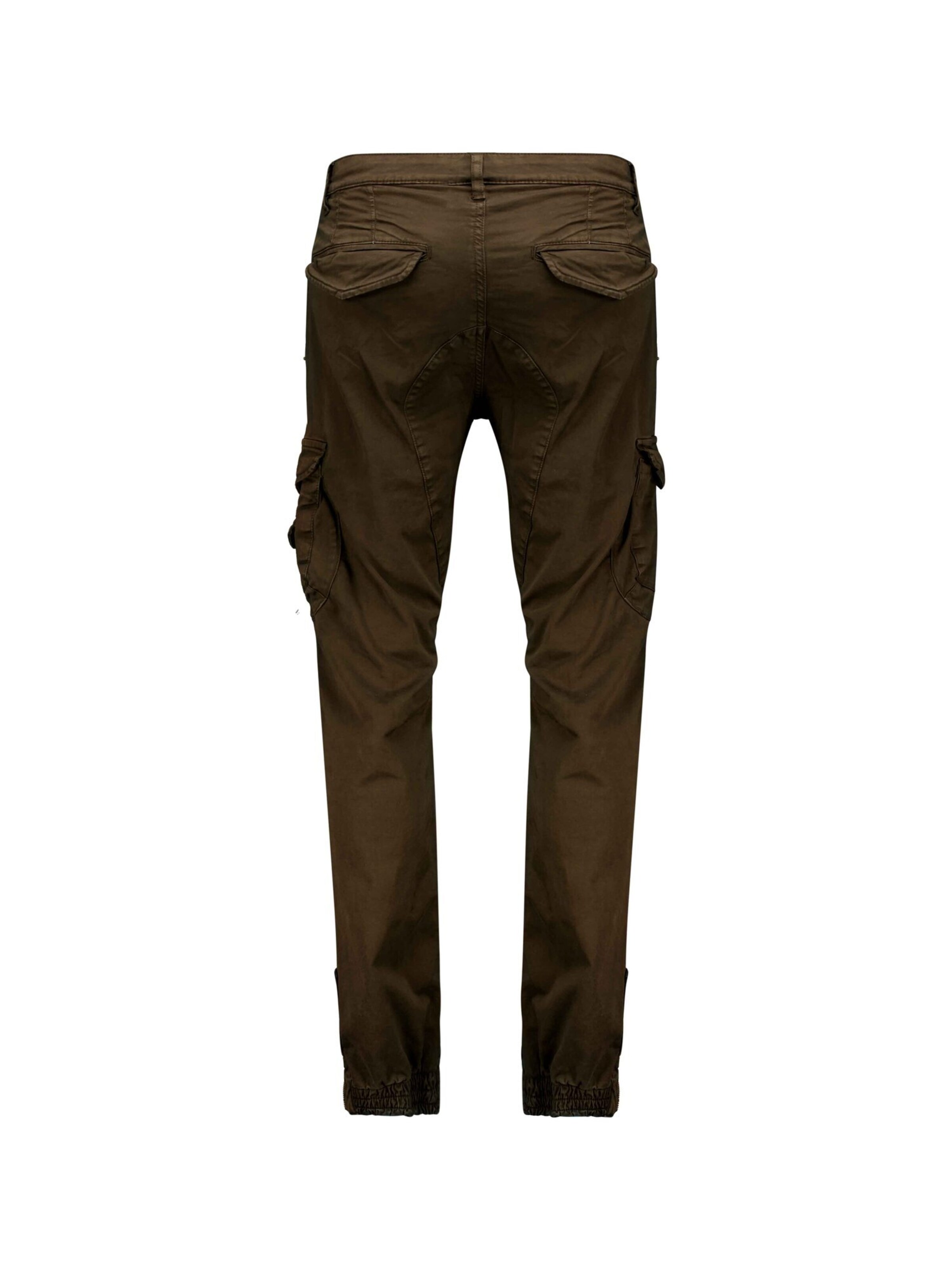 Regular Pantalon 'GARDEN' Deeluxe en marron