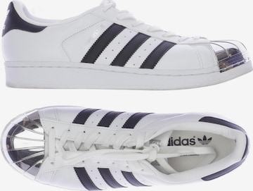 ADIDAS ORIGINALS Sneakers & Trainers in 41 in White: front