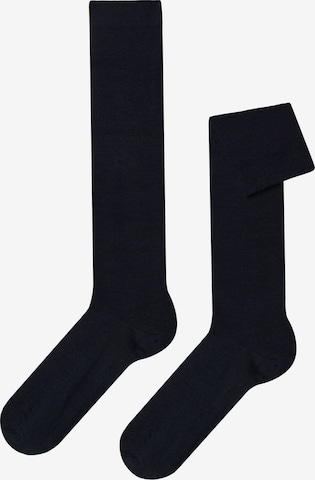 CALZEDONIA Socks in Blue: front