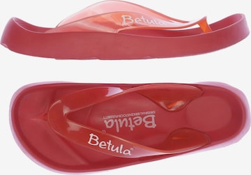 BETULA Sandalen 40 in Rot ABOUT YOU