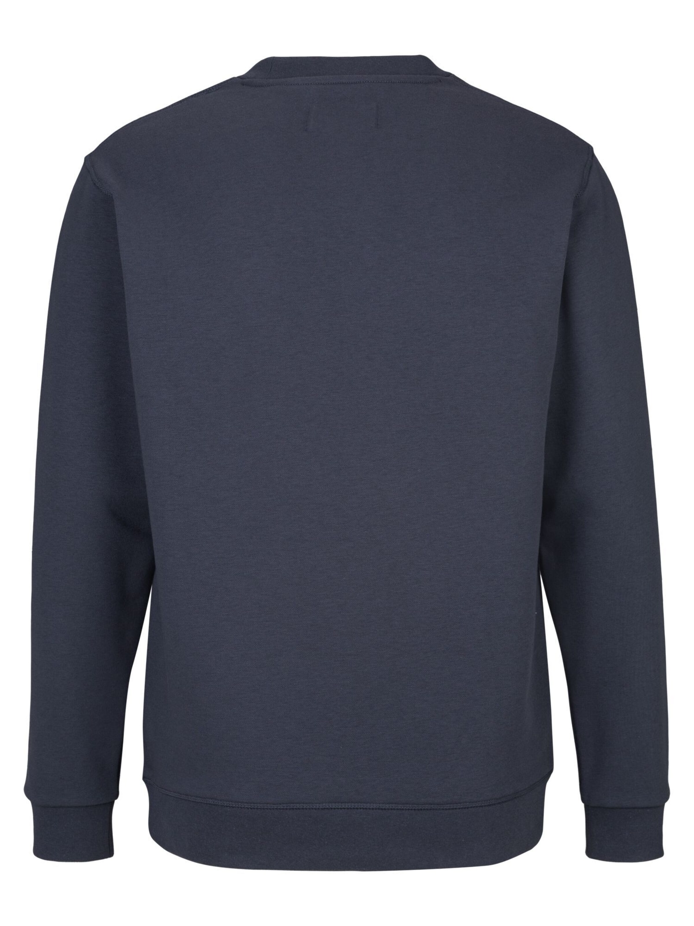 Sweat-shirt REPLAY en bleu