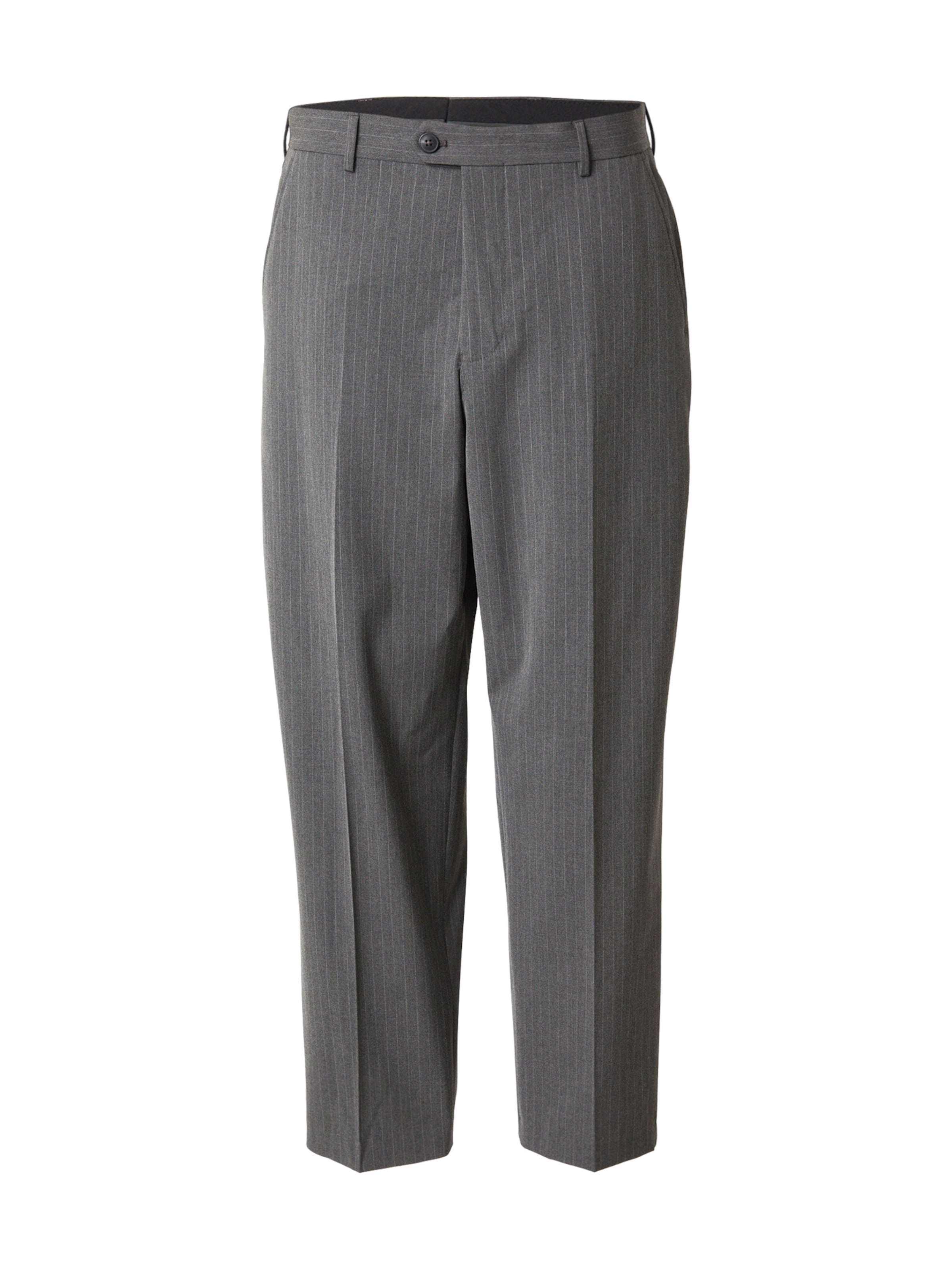 SELECTED Свободный крой Плиссированные брюки 'SLHLIAM' в Серый: спереди