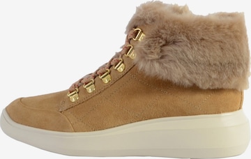 Baskets hautes GEOX en marron : devant